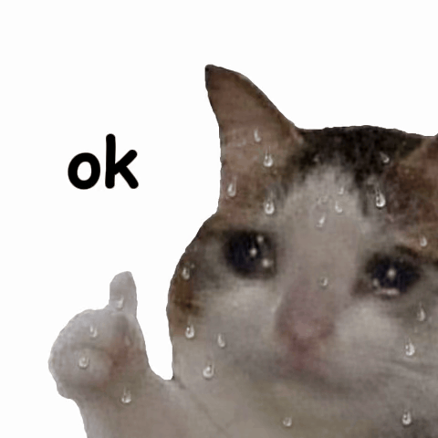 A wet cat gives a thumbs-up beside the word “ok.”