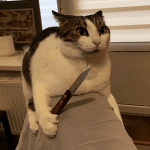 A wide-eyed cat holds a knife while sitting on a bed.