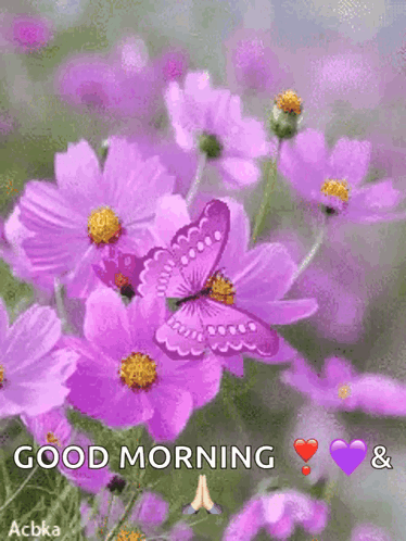 Purple flowers and a butterfly appear with a small “GOOD MORNING” caption.