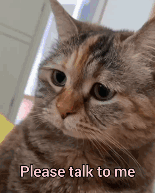 A sad tabby cat looks toward the camera with the caption “Please talk to me.”