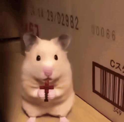 A hamster stands upright with its paws together in alarm.