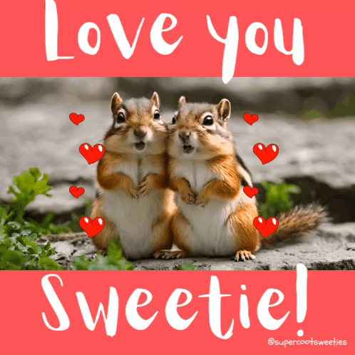 a couple of squirrels hugging with the words love you sweetie on the bottom