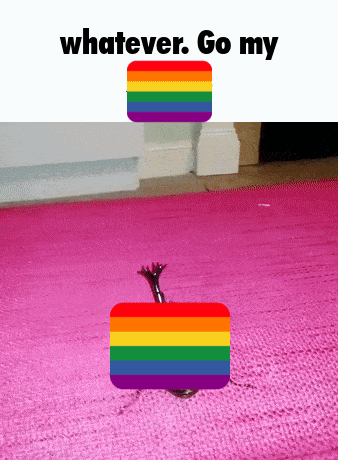 a pink rug with a rainbow flag and the words " whatever go my " above it