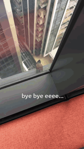 A person looks down from a high building with small text saying “bye bye eeee...”.