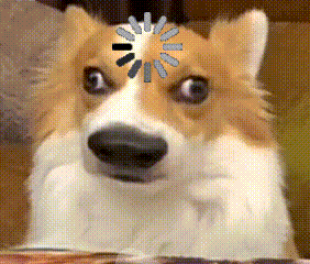 A corgi stares wide-eyed as a loading spinner covers its face.