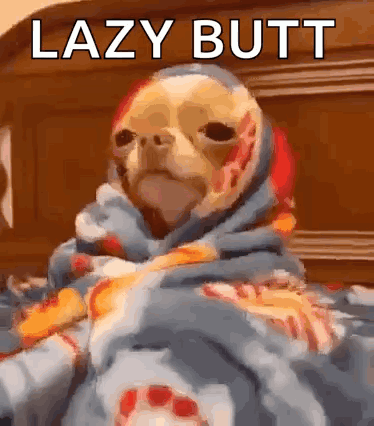 A bundled small dog stares sleepily with “LAZY BUTT” text.