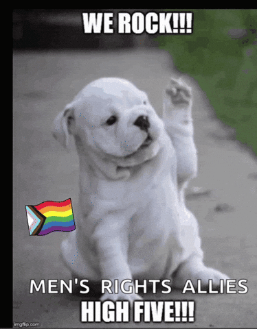 a white puppy with a rainbow flag and the words we rock men 's rights allies high five on the bottom