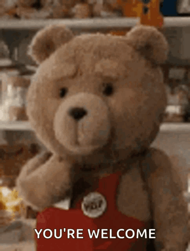 Ted, the plush teddy bear, stares forward in a warmly lit kitchen.