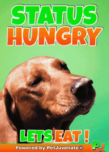 a poster with a dog and the words status hungry let 's eat powered by petjuvenate