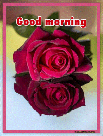 Two deep pink roses appear in a framed “Good morning” floral card.