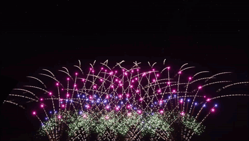 a bunch of fireworks going off in the sky