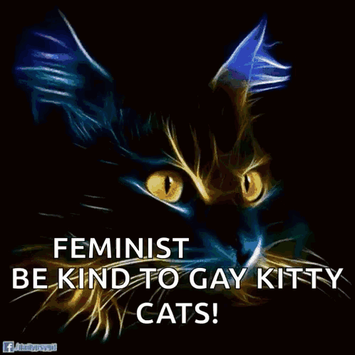 a picture of a cat with purple eyes and the words feminist be kind to gay kitty cats
