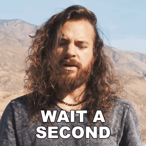 a man with long hair and a beard says wait a second in front of mountains