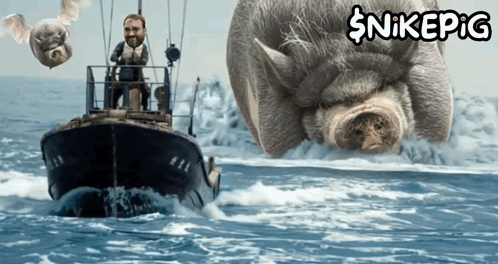 a man on a boat in the ocean with a giant pig behind him that says nikepig on the bottom