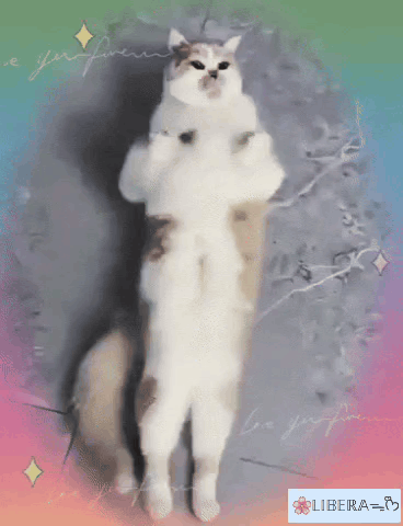 A white cat stands upright in a sparkly pastel frame.