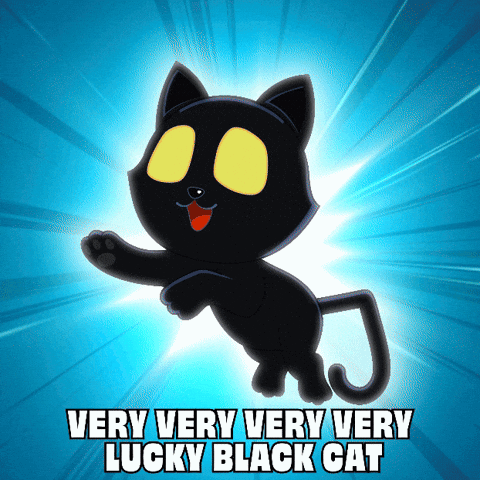 a very very very very lucky black cat flying through the air