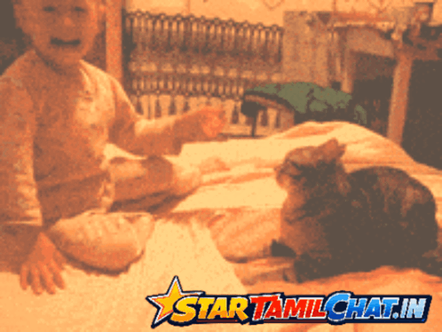 a baby sitting on a bed next to a cat with a star tamilchat.in logo on the bottom