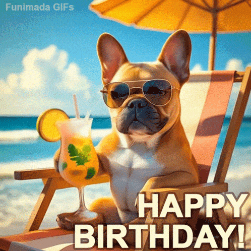 A sunglasses-wearing dog sits on a beach beside a drink and “HAPPY BIRTHDAY!” text.