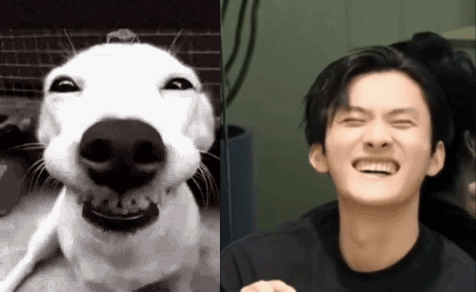 a black and white photo of a dog smiling next to a man laughing .