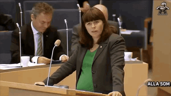 Jimmieåkesson åsa Romsson GIF