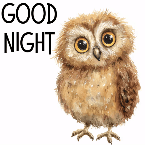 A fluffy illustrated owl stands beside large “GOOD NIGHT” lettering.