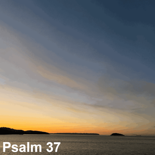 a picture of a sunset over a body of water with the words psalm 37 above it