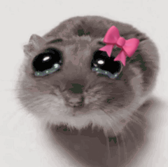A gray hamster with giant glossy eyes looks sadly upward.
