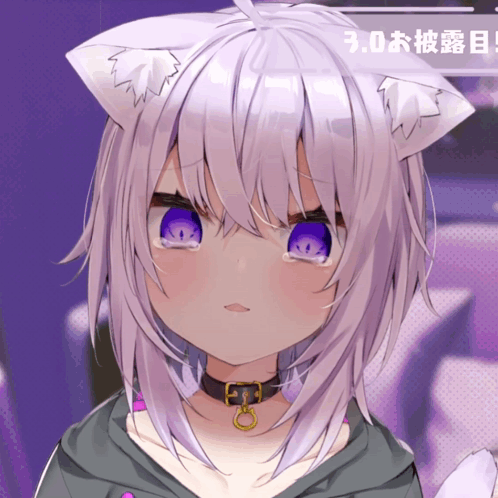 a cat girl with purple eyes and a choker