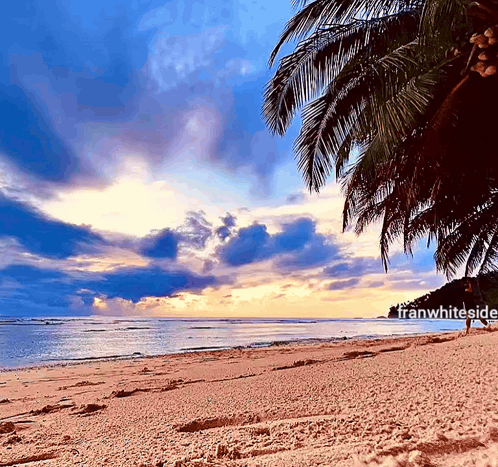 a picture of a beach with the words franwhiteside on the bottom