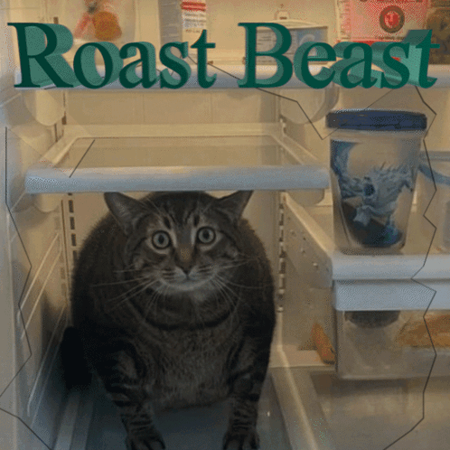 a cat sitting in an empty refrigerator with the words roast beast written above it