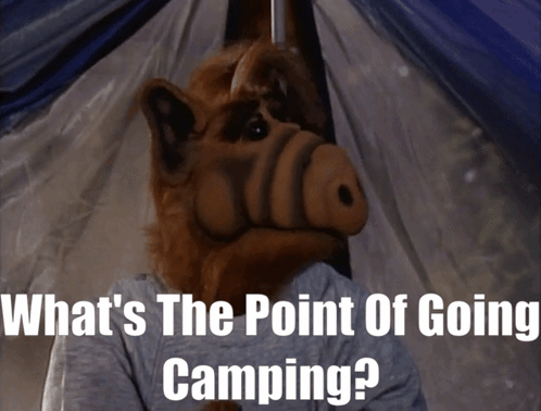 alf from the sitcom sits in a tent with the words what 's the point of going camping