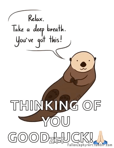 A relaxed cartoon otter floats beneath the message “THINKING OF YOU GOOD LUCK!”