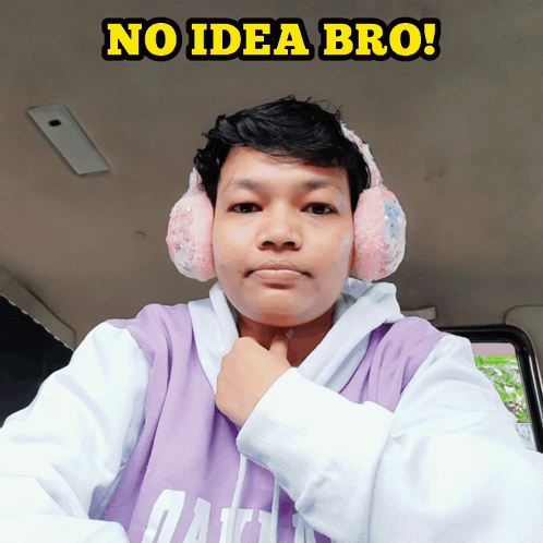 A person in a car shrugs beneath the caption “NO IDEA BRO!”
