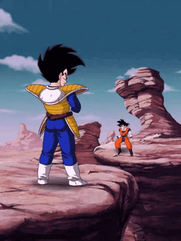 a cartoon of goku and vegeta standing next to each other on a cliff