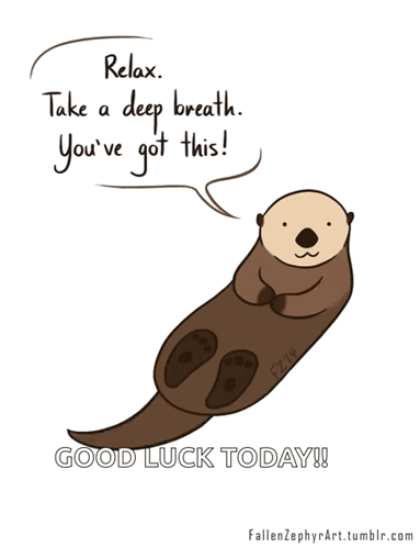 A relaxed cartoon otter floats with a speech bubble saying “Relax. Take a deep breath. You’ve got this!”