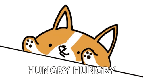 An illustrated corgi plays bongo drums over the caption “HUNGRY HUNGRY.”