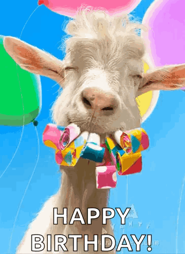 A goat in colorful birthday accessories is captioned “HAPPY BIRTHDAY!”