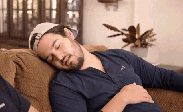 A bearded man sleeps on a couch in a living room.