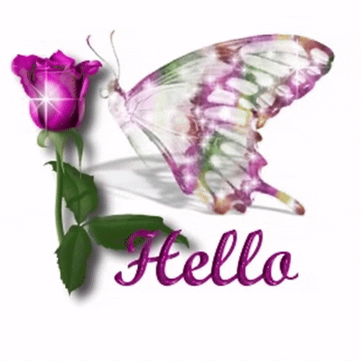 A pink rose and butterfly graphic says “Hello.”