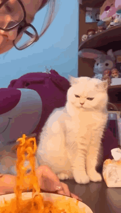 A fluffy cat sits at a table crowded with noodle dishes.