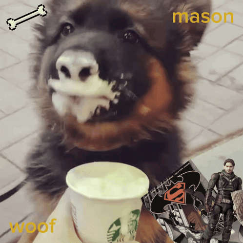 a picture of a dog with milk on its face and the name mason on the bottom