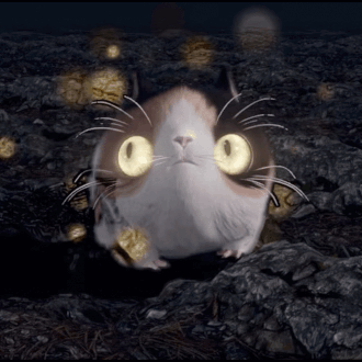 a cat with glowing eyes is sitting on the ground