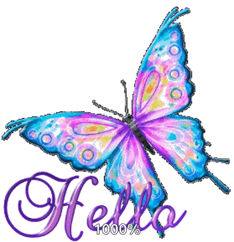 A colorful butterfly graphic says “Hello.”