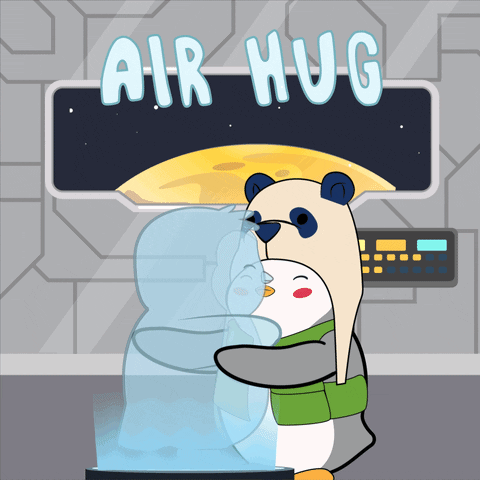 a cartoon of a panda and a penguin hugging with the words air hug above them