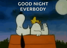 a cartoon of snoopy and woodstock laying on top of a doghouse with the words `` good night everbody '' .