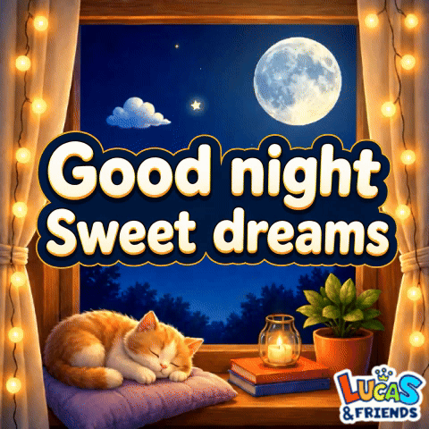 A curled-up cat sleeps in a warm window frame under “Good night Sweet dreams.”