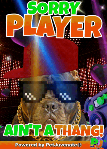 a poster that says sorry player ain 't a thang powered by petjuvenate