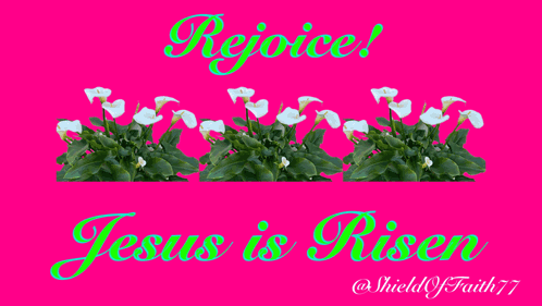 a pink background with the words rejoice jesus is risen on it