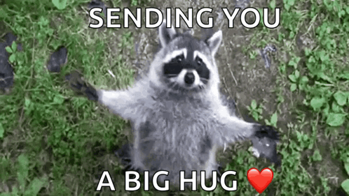 A raccoon spreads its arms with “SENDING YOU A BIG HUG” text.