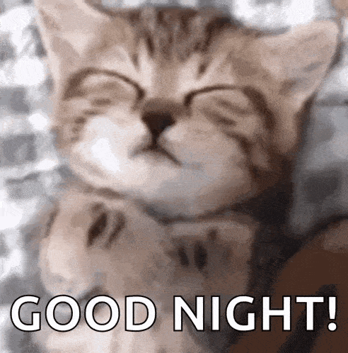 A sleepy gray kitten rests with eyes closed beside “GOOD NIGHT!”